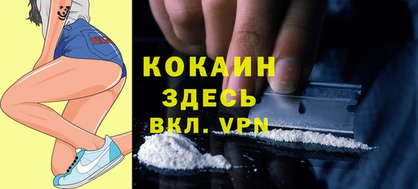 apvp Сясьстрой